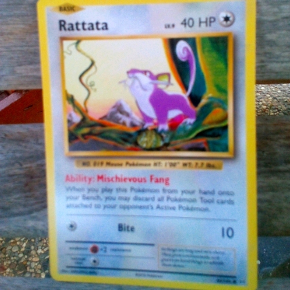 A Rattata pokemon